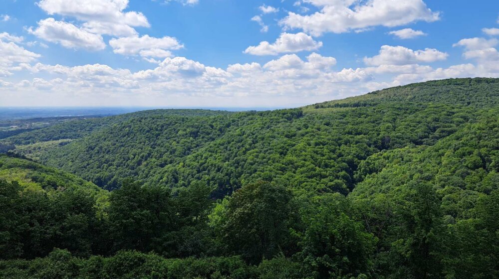 Sedam javnih preduzeća prelaze u DOO - nacionalni parkovi Đerdap i Fruška gora, Srbijavode, Srbijašume... 1