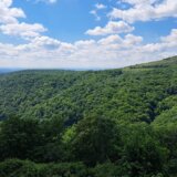 Sedam javnih preduzeća prelaze u DOO - nacionalni parkovi Đerdap i Fruška gora, Srbijavode, Srbijašume... 4