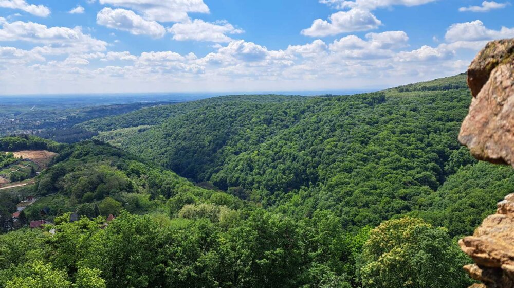 Društveni front: Prelazak sedam državnih preduzeća u DOO ili AD otvara mogućnost za privatizaciju 1