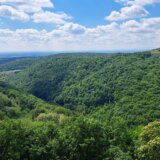 Društveni front: Prelazak sedam državnih preduzeća u DOO ili AD otvara mogućnost za privatizaciju 6