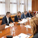 Dobit EPS-a u prvom kvartalu 240 miliona evra: Ministarka energetike poručuje da investicije moraju da budu efikasnije 8