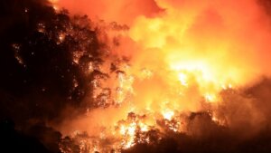 Više od 600 vatrogasaca angažovano je na gašenju velikog šumskog požara u Kaliforniji, koji je za dva dana opustošio više od 28.300 hektara, u trenutku kada američki predsednik Donald Tramp (Trump) smanjuje budžet službama za upravljanje katastrofama. "Madre Fire" je izbio u sredu u centralnom ruralnom okrugu San Luis Obispo.