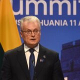 Litvanci danas biraju predsednika i glasaju na referendumu o dvojnom državljanstvu 12