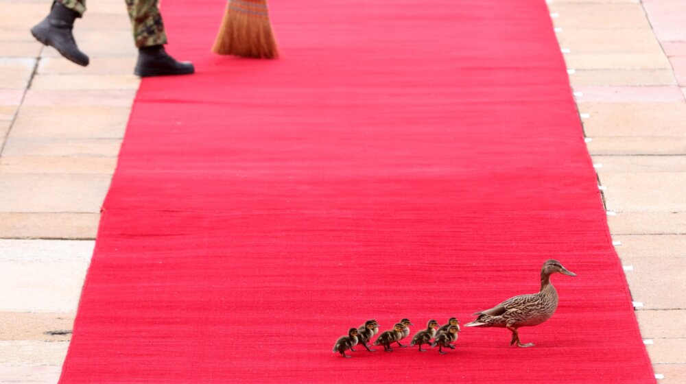 Neočekivani gosti želeli da pozdrave Si Đinpinga na crvenom tepihu 1