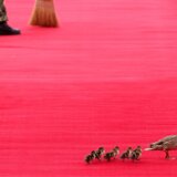 Neočekivani gosti želeli da pozdrave Si Đinpinga na crvenom tepihu 1