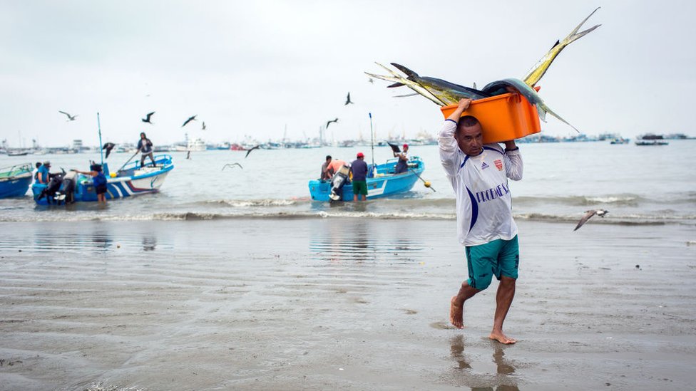 Klimatske promene: Šta su El Ninjo i La Ninja i kako utiču na vremenske prilike 5 A fisherman carries freshly caught tuna at La Poza beach in Manta, Ecuador's largest seaport