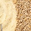 Hrana i zdravlje: Da li je bolje da jedemo brašno od semenki mahunastog povrća 13