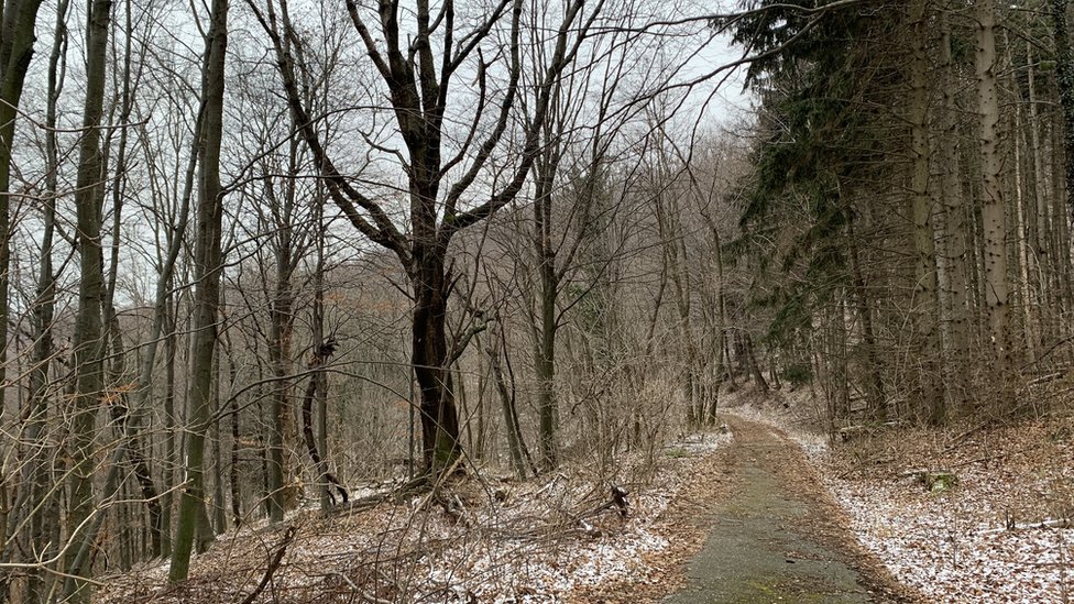 Ubistvo porodice Zec i Hrvatska: „Tad sam videla Aleksandru poslednji put" 3 Staza do spomen obeležja