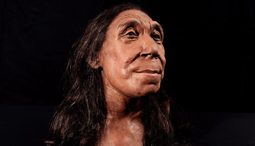 Arheologija i istorija: Obelodanjeno lice 75.000 godina stare Neandertalke 10