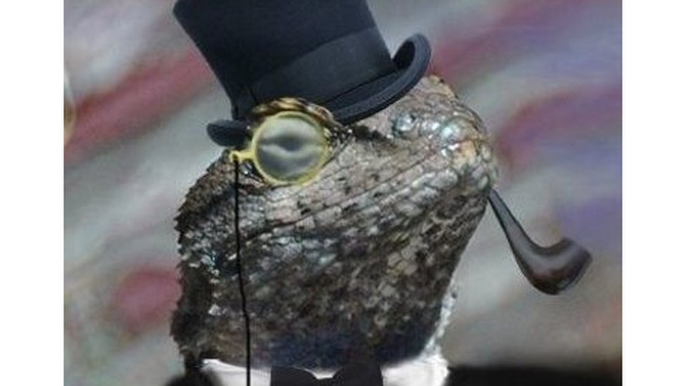 Zikil: Od tinejdžera hakera do jednog od najtraženijih kriminalaca u Evropi 5 Logo Odreda guštera