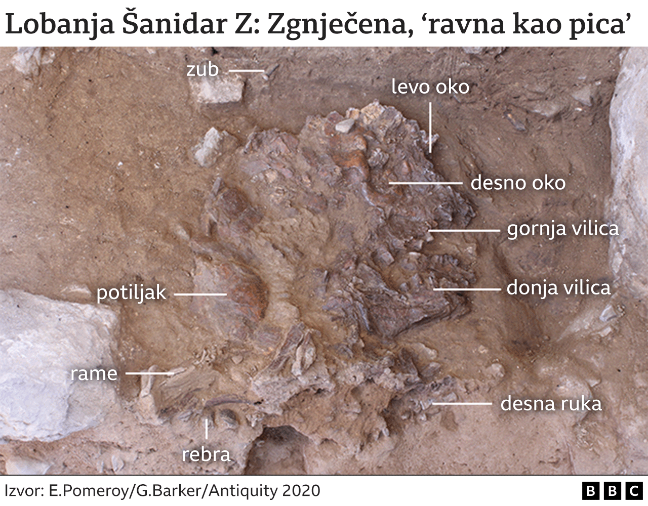 Arheologija i istorija: Obelodanjeno lice 75.000 godina stare Neandertalke 3 šanidar lobanja