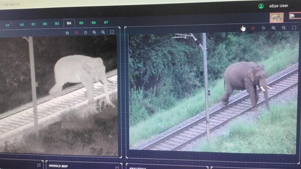 Priroda i tehnologija: Kako veštačka inteligencija pomaže indijskim slonovima 2 Cameras showing thermal and live images of elephants on the track