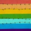Međunarodni dan borbe protiv homofobije, transfobije i bifobije: Gde napreduju, a gde su na udaru LGBT prava 9