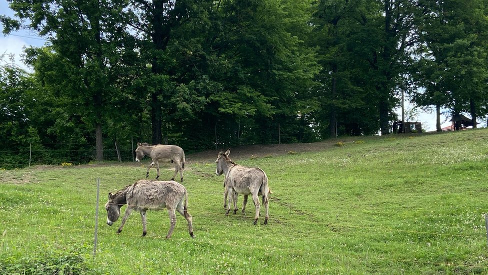 Deponija Duboko i požar: „Sve što hoću je da normalno dišem", kako izgleda život u dimu i smradu 3 Duboko
