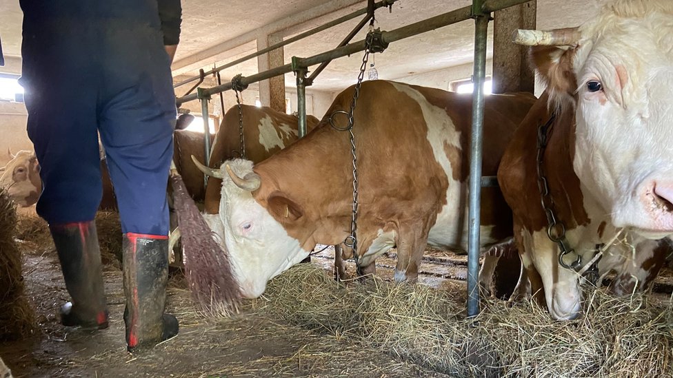 Deponija Duboko i požar: „Sve što hoću je da normalno dišem", kako izgleda život u dimu i smradu 5 Duboko