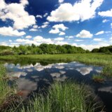 Svetski dan biodiverziteta: Kako se na Balkanu čuva šarolikost prirode 8