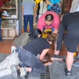 Srbija: Izbori za studentske parlamente i odsjaj visoke politike 5