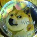 Životinje: Uginuo pas Kabosu, zvezda mimova i zaštitno lice jedne kriptovalute 1