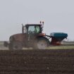 "Ako se ovako nastavi, ukupno će tri čoveka raditi u celoj Vojvodini": Koliko je poljoprivreda u Srbiji isplativa? 18