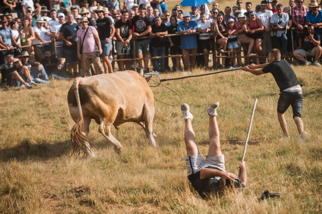 Obeleženo 30 godina agencije Beta: Uručene nagrade 'Dragan Janjić' i 'Betina fotografija godine' 3 Obeleženo 30 godina agencije Beta: Uručene nagrade 'Dragan Janjić' i 'Betina fotografija godine' 3