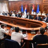 Nastavak pregovora malinara sa hladnjačarima o otkupnoj ceni u petak u Vladi Srbije 11