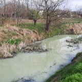 Krivaja u Srbobranu na udaru zagađivača: Farma svinja uništava reku, ekolozi pozivaju na ujedinjenje 4