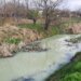 Krivaja u Srbobranu na udaru zagađivača: Farma svinja uništava reku, ekolozi pozivaju na ujedinjenje 2