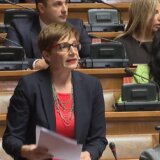 Koliko su vredni znaćemo kad Vučić bude brao jagode na normu, a Vulin rotkvice za dnevnicu, poručila Dragana Rakić 1