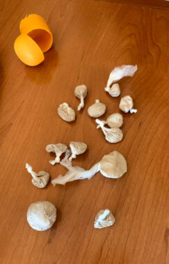 Heroin Kragujevac 01 Kragujevačka policija uhapsila u Aranđelovcu muškarca iz Topole sa heroinom 2