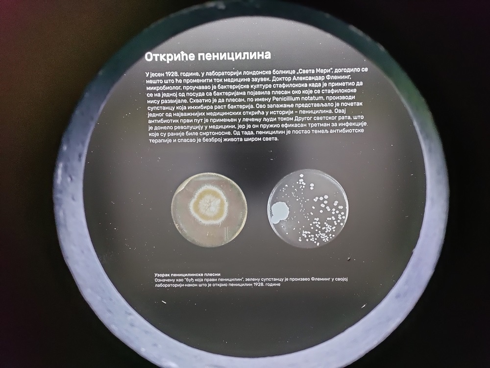 „Biotehnologija: Algoritmi prirode": Izložba koju ne treba da propustite do kraja ovog meseca 3