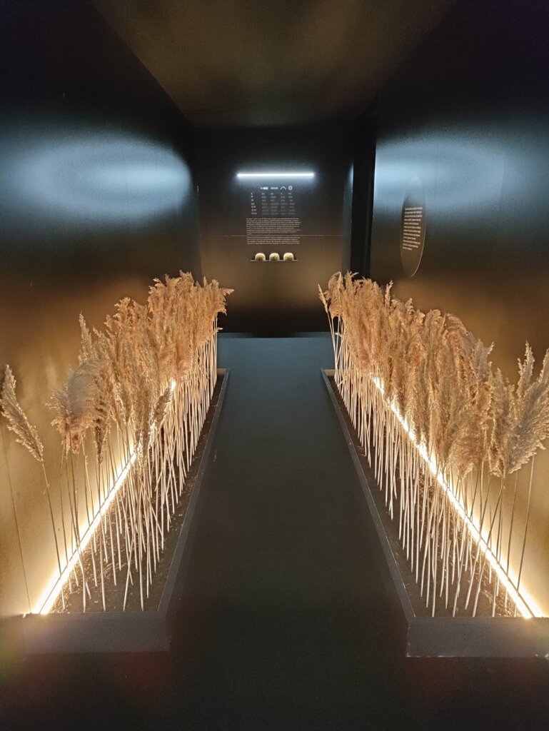 „Biotehnologija: Algoritmi prirode": Izložba koju ne treba da propustite do kraja ovog meseca 2