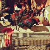 Izložba „Popis: Lice našeg vremena” Predraga Trokicića u Kontakt galeriji SKC-a Kragujevac 1