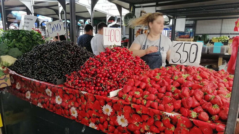 Voćari tvrde da su na granici egzistencije: Ovogodišnji rod jagode, maline i višnje slab, a otkupne cene ponovo niske 10