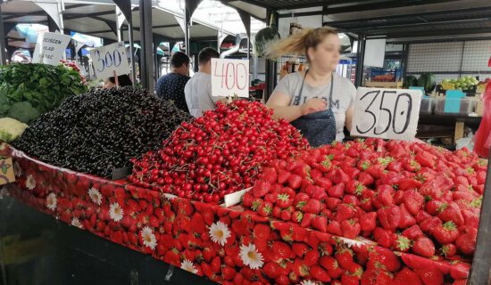 Voćari tvrde da su na granici egzistencije: Ovogodišnji rod jagode, maline i višnje slab, a otkupne cene ponovo niske 6