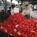 Voćari tvrde da su na granici egzistencije: Ovogodišnji rod jagode, maline i višnje slab, a otkupne cene ponovo niske 14