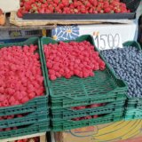 Udruženje malinara Vilamet: Proizvođači će odlučiti da li će prihvatiti otkupnu cenu od 250 dinara 7