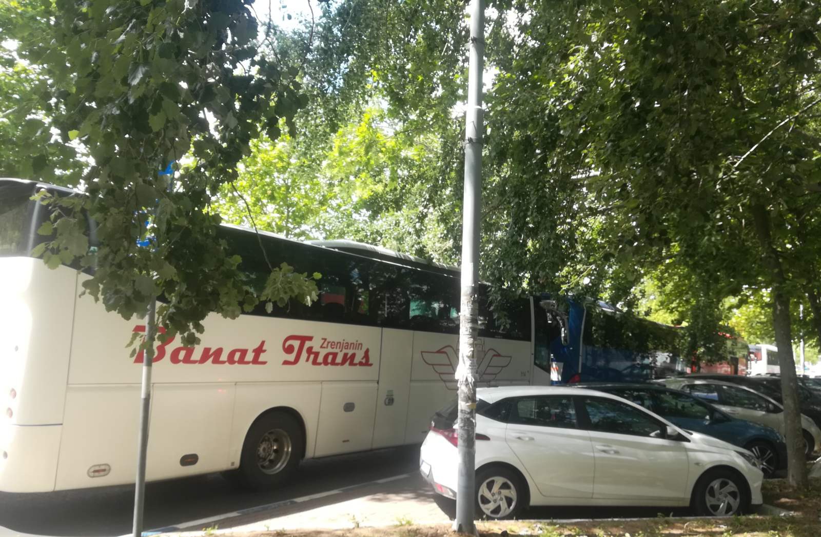 Sendviči što su nam ostali, svi će podelimo: Kako je srpski narod iz raznih mesta "spontano" došao u Beograd da izrazi ljubav kineskom predsedniku 3