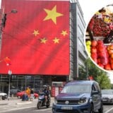 "Kinezi da investiraju, mi da tovimo": Ima li Srbija dovoljno govedine za izvoz u Kinu? 4