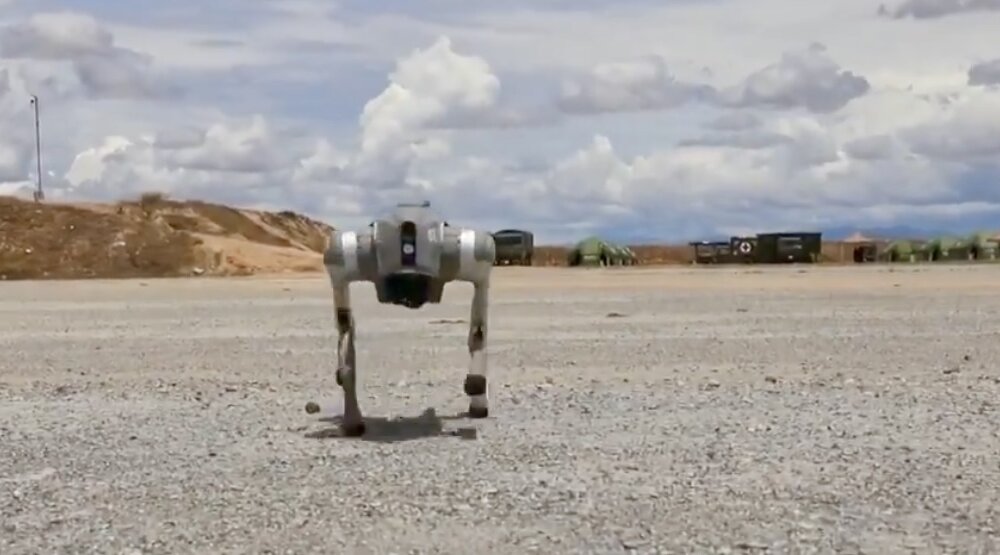 Šta su "psi roboti" kineske vojske i kakvo oružje nose? (VIDEO) 1