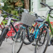 Zrenjanin daje po 10.000 dinara subvencije građanima za kupovinu bicikla kao ekološkog vozila 12