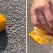 Nova zamka lopova: Limun, pomorandže ili drugo voće na drumu 51
