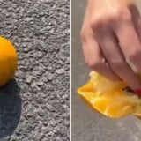 Nova zamka lopova: Limun, pomorandže ili drugo voće na drumu 2