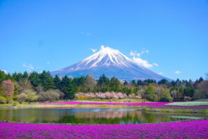 U Japanu nova pravila za penjanje na planinu Fudži zbog prekomernog turizma i zagađenja