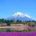 U Japanu nova pravila za penjanje na planinu Fudži zbog prekomernog turizma i zagađenja 5