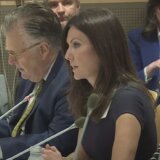 U UN počeo panel na kome govore srpske žrtve i svedoci 5
