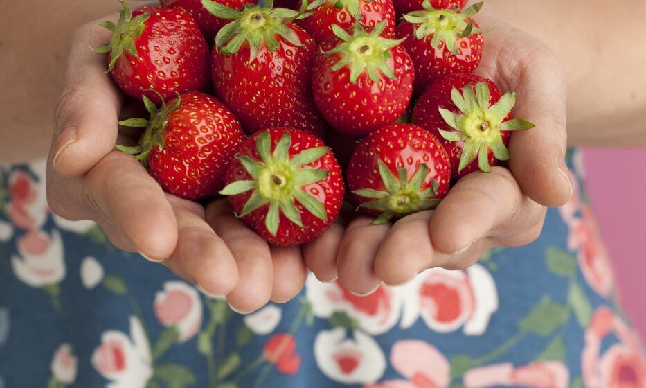 Kako ukloniti pesticide sa jagoda kod kuće 1