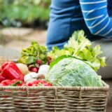 Šta se događa sa telom ako ne jedemo dovoljno povrća 3