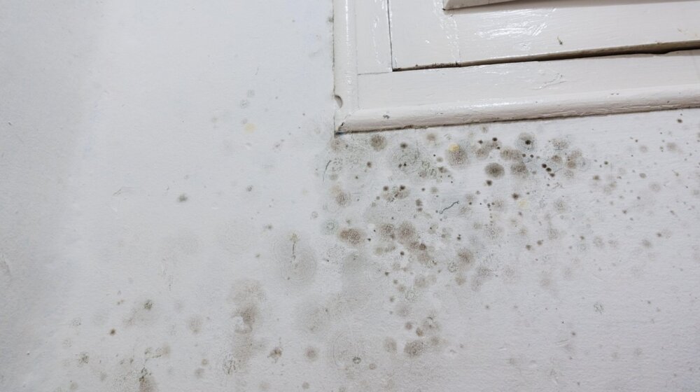 Najkritičniji delovi u kući za nakupljanje vlage 1