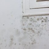 Najkritičniji delovi u kući za nakupljanje vlage 1