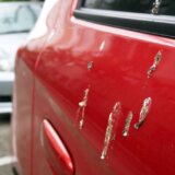 Ptice su vam isprljale automobil? Ne oklevajte, već odmah uklonite prljavštinu 2